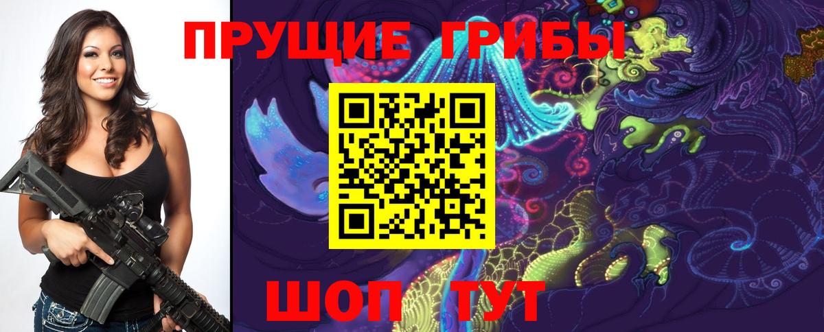 Галлюциногенные грибы Psilocybine cubensis  Галлюциногенные грибы прущие грибы  Вход с VPN  Владикавказ 